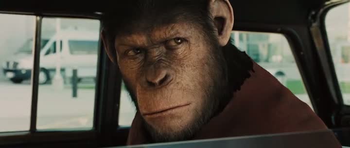 Free Download Rise of the Planet of the Apes Hollywood Movie 300MB Compressed For PC
