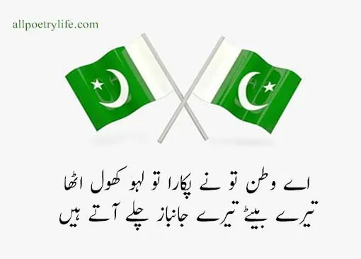 happy-independence-day-pakistan-14-august-poetry-in-urdu-2-line-shayari