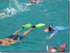 Snorkeling at White Bay