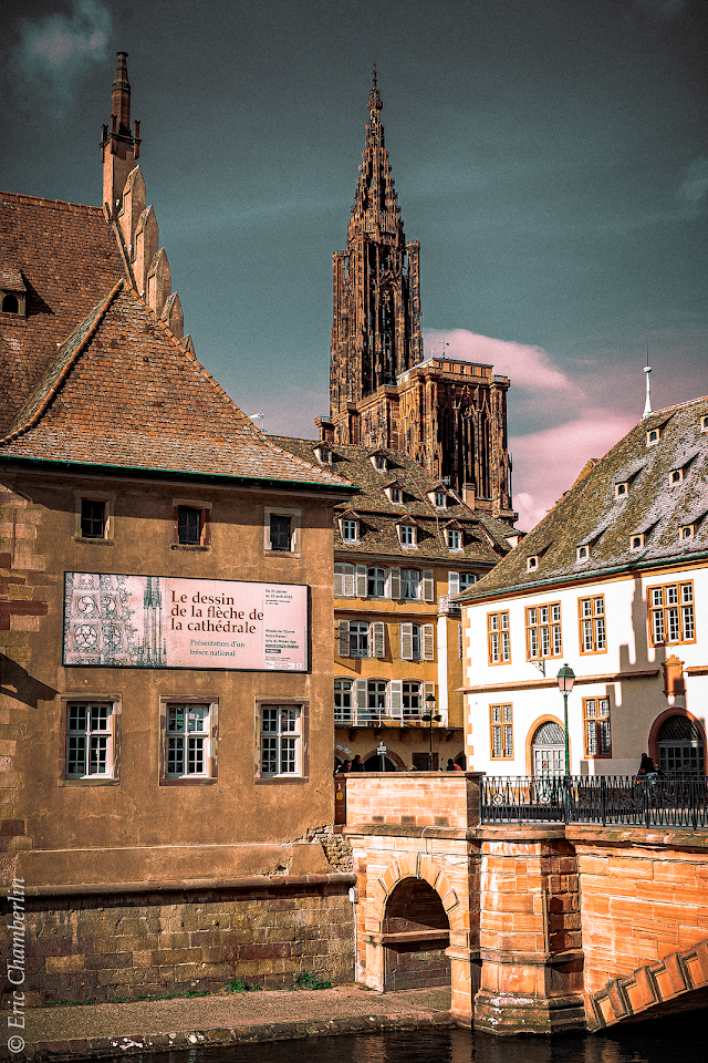 Cathédrale - Strasbourg
