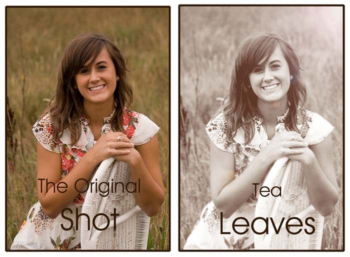 TEA LEAVES
