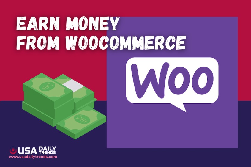 Earn money use Woocommerce tool