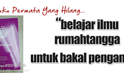 Buku Permata Yang Hilang  [#31]