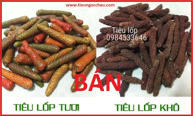 Bán tiêu lốp