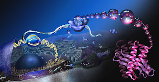   3-D RNA Modeling Opens Scientific Doors