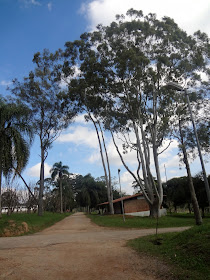 Parque do Carmo em São Paulo