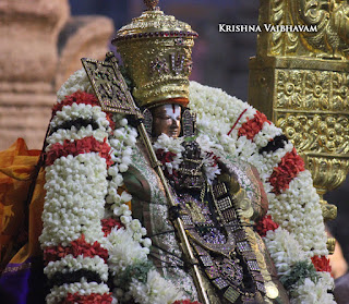 Sri Parthasarathy Perumal,Ippasi,Ammavasya, Manavala Maamunigal,Purappadu,2016, Video, Divya Prabhandam,Triplicane,Thiruvallikeni,Utsavam,