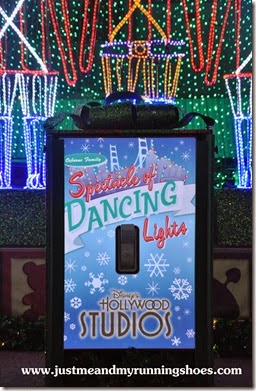 Osborne Family Spectacle of Dancing Lights (8)