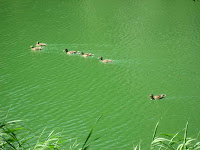 Parc de l'Aigua