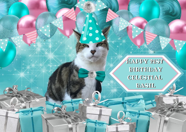 Basil's 21st Birthday Pawty Official Pawtrait  ©BionicBasil®