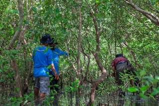 Memahami Program Biodiversity PGN Saka, Investasi dalam Konservasi Alam