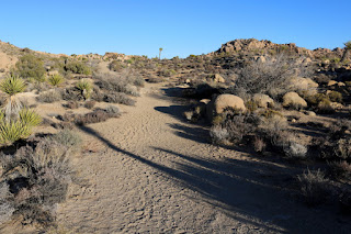 Walking east on Desert Queen Mine Trail, Joshua Tree National Park