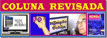 coluna revisada