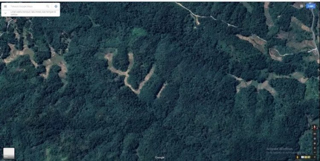 Heboh Penampakan Foto Satelit Sawah di Sumatera Barat Berlafadz Allah