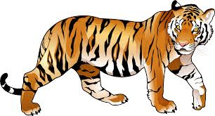 tiger clipart images