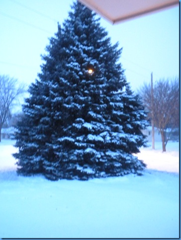 DSCN0221