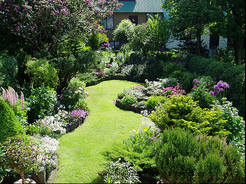 Wonderful Backyard Patio Designs Small Yards