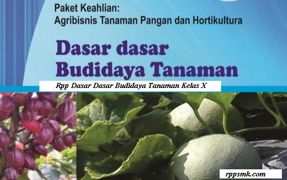 Download Rpp Mata Pelajaran Dasar Dasar Budidaya Tanaman Smk Kelas X Kurikulum 2013 Revisi 2017 Semester 1 dan 2