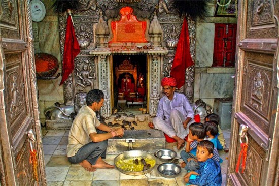 Templo dos ratos sagrados - Karni Mata - Índia