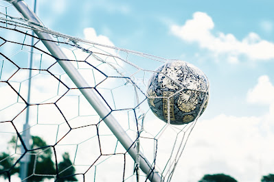 ball in a net