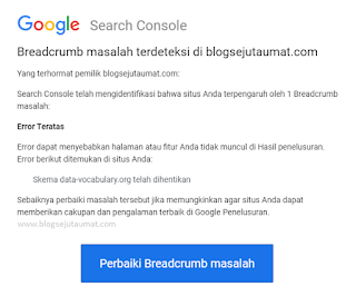 Tampilan Email Error Breadcrumb Google Search Console