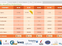 Mau Bikin Website + Hosting Murah AbizZ? Ke RajaWebhost.Com Aja!