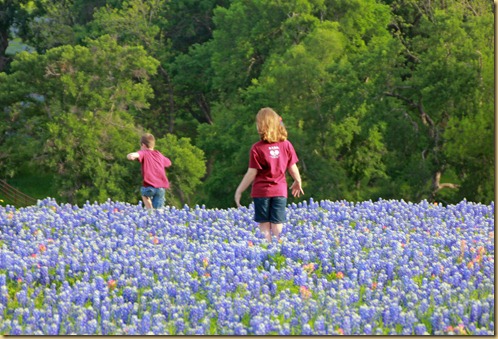 Kids in bluebonnets 2012