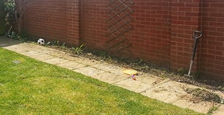 Freshly dug garden border