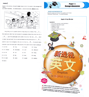 合力走透透: 新透视：模拟UPSR历年考题系列