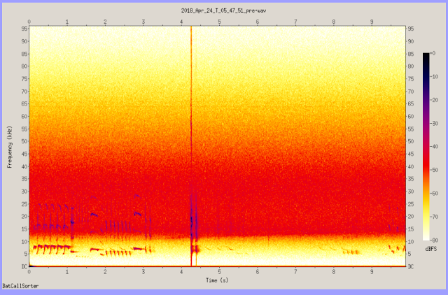 bat detector ultrasonic bird