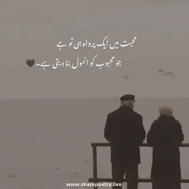 Short Urdu Captions For Instagram (2024)