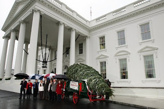 Laura Bush White House Christmas Tree PODCAST VIDEO PHOTO ESSAY