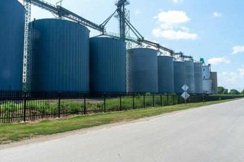 Ukraine Grain Strain: Almost 25 Million Tonnes Blocked From Export