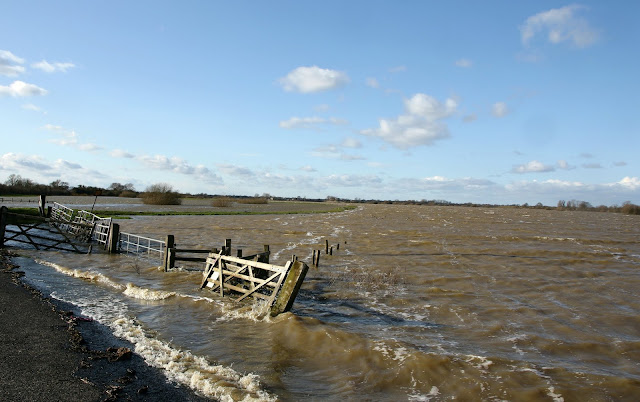 Flood water  from river Derwent at Bubwith, near Selby, North Yorks