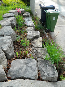 by Paul Jung Gardening Services--a Toronto Gardening Company Riverdale Front Garden Spring Cleanup Before