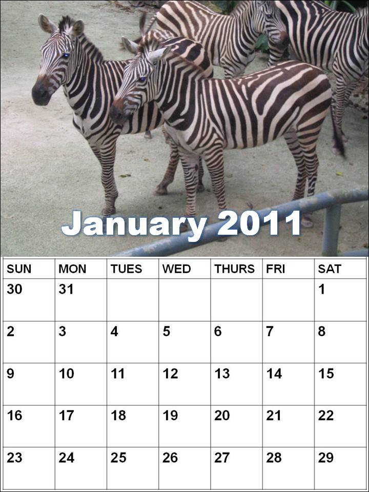 calendar january 2011. Blank Calendar 2011 January or