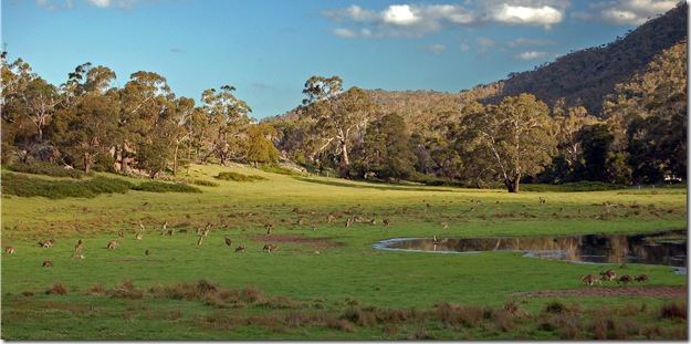 Grampians 5