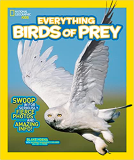 national geographic kids books, nat geo kids, birds of prey books