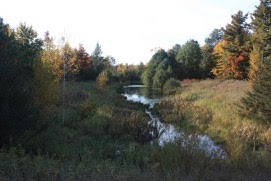 there's not yet this much color in much of the "North Woods"