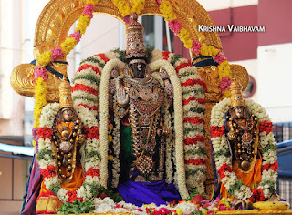 Satrumurai,Ippasi,purappadu,Thiruvallikeni, Thirumoolam,Sri Parthasarathy Perumal,Manavala Maamunigal,Varavaramuni, Temple, 2017, Video, Divya Prabhandam,Utsavam,