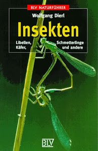 Insekten: Libellen, Käfer, Schmetterlinge und andere