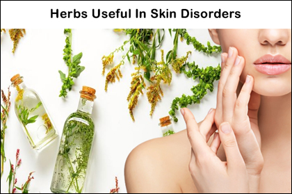 Herbs Useful In Skin Disorders, Herba For Skin, Skin Disorders, Layers of Skin, Functions of Skin, Ayurvedic Aspect of Skin, Ayurveda Herbs useful in Skin Disorders