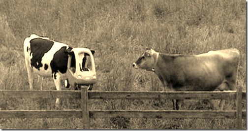 animals_in_a_pickle_640_09