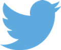 Logo Twitter