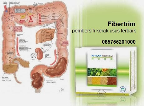 | obat herbal untuk membersihkan usus Surabaya | obat herbal untuk membersihkan usus jakarta | obat herbal untuk membersihkan usus Sidoarjo | | obat herbal untuk membersihkan usus Surabaya | obat herbal untuk membersihkan usus jakarta | obat herbal untuk membersihkan usus Sidoarjo | | obat herbal untuk membersihkan usus Surabaya | obat herbal untuk membersihkan usus jakarta | obat herbal untuk membersihkan usus Sidoarjo | | obat herbal untuk membersihkan usus Surabaya | obat herbal untuk membersihkan usus jakarta | obat herbal untuk membersihkan usus Sidoarjo | | obat herbal untuk membersihkan usus Surabaya | obat herbal untuk membersihkan usus jakarta | obat herbal untuk membersihkan usus Sidoarjo | | obat herbal untuk membersihkan usus Surabaya | obat herbal untuk membersihkan usus jakarta | obat herbal untuk membersihkan usus Sidoarjo | | obat herbal untuk membersihkan usus Surabaya | obat herbal untuk membersihkan usus jakarta | obat herbal untuk membersihkan usus Sidoarjo | | obat herbal untuk membersihkan usus Surabaya | obat herbal untuk membersihkan usus jakarta | obat herbal untuk membersihkan usus Sidoarjo | | obat herbal untuk membersihkan usus Surabaya | obat herbal untuk membersihkan usus jakarta | obat herbal untuk membersihkan usus Sidoarjo | | obat herbal untuk membersihkan usus Surabaya | obat herbal untuk membersihkan usus jakarta | obat herbal untuk membersihkan usus Sidoarjo | | obat herbal untuk membersihkan usus Surabaya | obat herbal untuk membersihkan usus jakarta | obat herbal untuk membersihkan usus Sidoarjo | | obat herbal untuk membersihkan usus Surabaya | obat herbal untuk membersihkan usus jakarta | obat herbal untuk membersihkan usus Sidoarjo | | obat herbal untuk membersihkan usus Surabaya | obat herbal untuk membersihkan usus jakarta | obat herbal untuk membersihkan usus Sidoarjo | | obat herbal untuk membersihkan usus Surabaya | obat herbal untuk membersihkan usus jakarta | obat herbal untuk membersihkan usus Sidoarjo | | obat herbal untuk membersihkan usus Surabaya | obat herbal untuk membersihkan usus jakarta | obat herbal untuk membersihkan usus Sidoarjo | | obat herbal untuk membersihkan usus Surabaya | obat herbal untuk membersihkan usus jakarta | obat herbal untuk membersihkan usus Sidoarjo | | obat herbal untuk membersihkan usus Surabaya | obat herbal untuk membersihkan usus jakarta | obat herbal untuk membersihkan usus Sidoarjo | | obat herbal untuk membersihkan usus Surabaya | obat herbal untuk membersihkan usus jakarta | obat herbal untuk membersihkan usus Sidoarjo | | obat herbal untuk membersihkan usus Surabaya | obat herbal untuk membersihkan usus jakarta | obat herbal untuk membersihkan usus Sidoarjo | | obat herbal untuk membersihkan usus Surabaya | obat herbal untuk membersihkan usus jakarta | obat herbal untuk membersihkan usus Sidoarjo | | obat herbal untuk membersihkan usus Surabaya | obat herbal untuk membersihkan usus jakarta | obat herbal untuk membersihkan usus Sidoarjo | | obat herbal untuk membersihkan usus Surabaya | obat herbal untuk membersihkan usus jakarta | obat herbal untuk membersihkan usus Sidoarjo | | obat herbal untuk membersihkan usus Surabaya | obat herbal untuk membersihkan usus jakarta | obat herbal untuk membersihkan usus Sidoarjo | | obat herbal untuk membersihkan usus Surabaya | obat herbal untuk membersihkan usus jakarta | obat herbal untuk membersihkan usus Sidoarjo | 