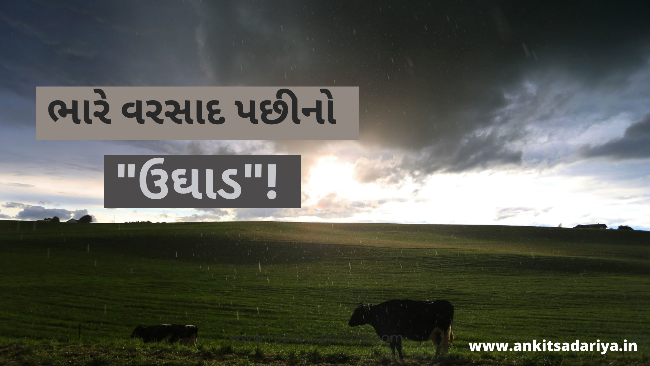 Gujarati article on rain