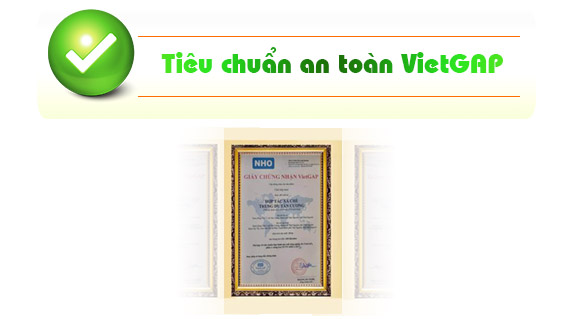 Chứng nhận VietGAP của Cafe Tony Paris