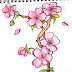 drawing pictures flowers step step