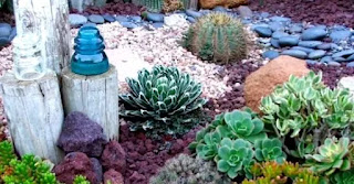 Ideas de jardín de cactus de bricolaje 3