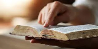 Persona con la Biblia en la mano, señalando con el dedo versículo